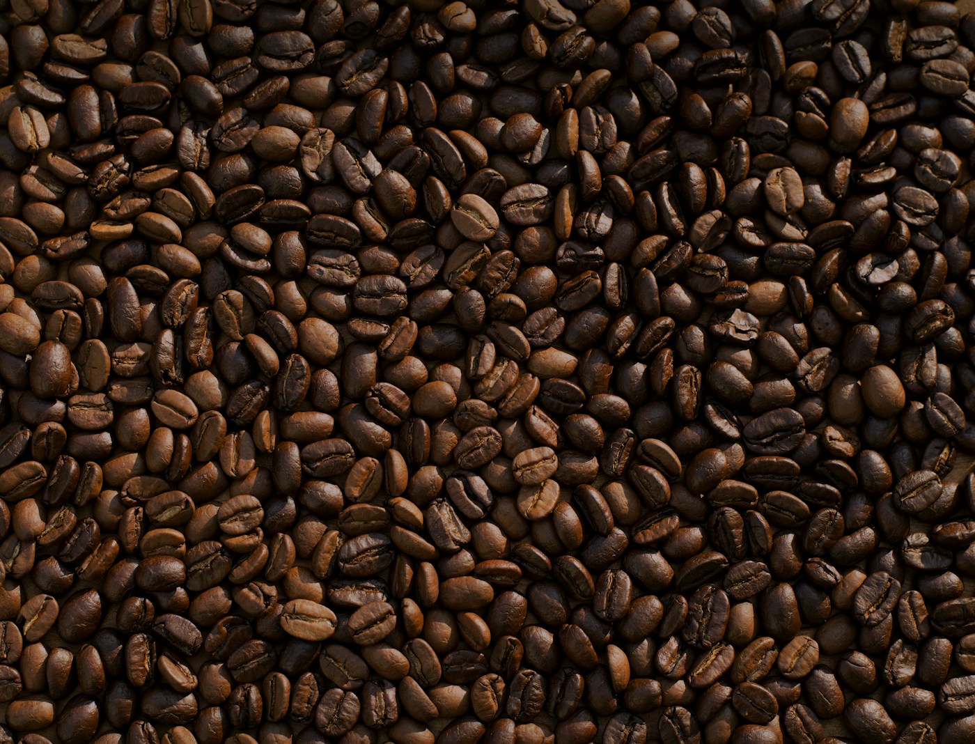 Degustazione guidata di caffè con tazze e chicchi sul tavolo
